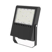 LED Flood light